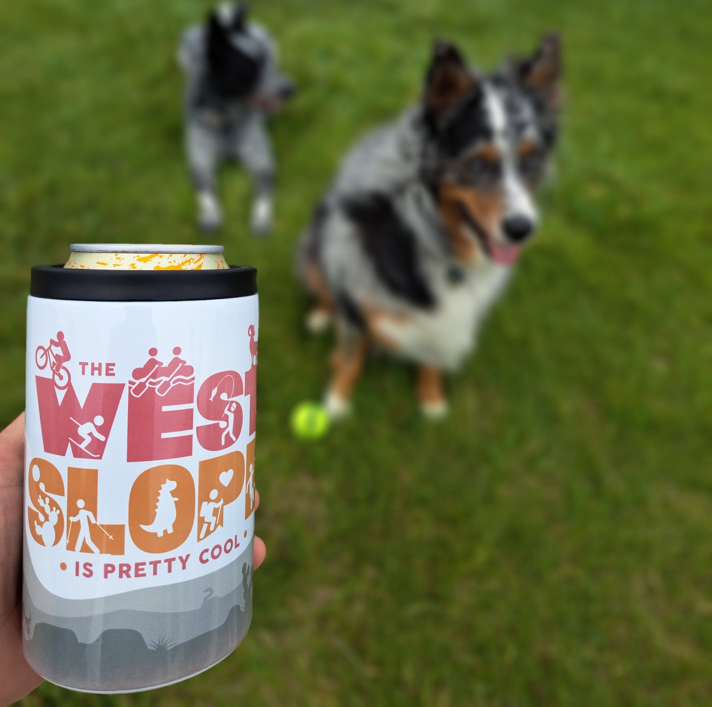 Stay hydrated in style with our koozies, tumblers and cups, oh my! Taters and Olive, shop dogs, with Westslope Koozie in the foreground.